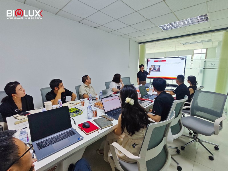 BIGLUX Mid-Year BIGLUX Mid-Year